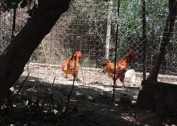 Kapsali Apartament Galini (Naxos)