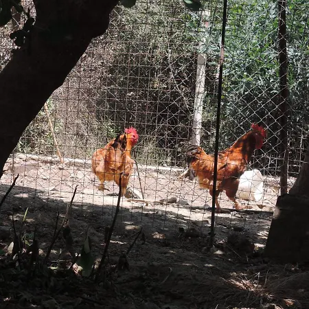 Kapsali Διαμέρισμα Γαλήνη