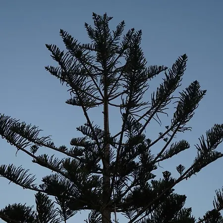 Kapsali Διαμέρισμα *